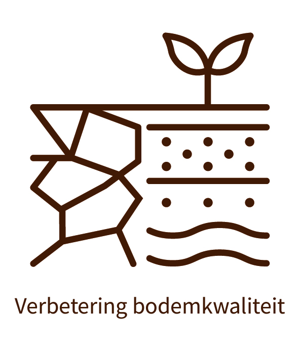 Grafische visualisatie van de bodem en ondergrond met als onderschrift: verbetering bodemkwaliteit